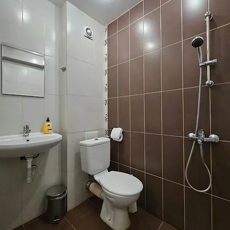 Family House Manolov 호텔 *